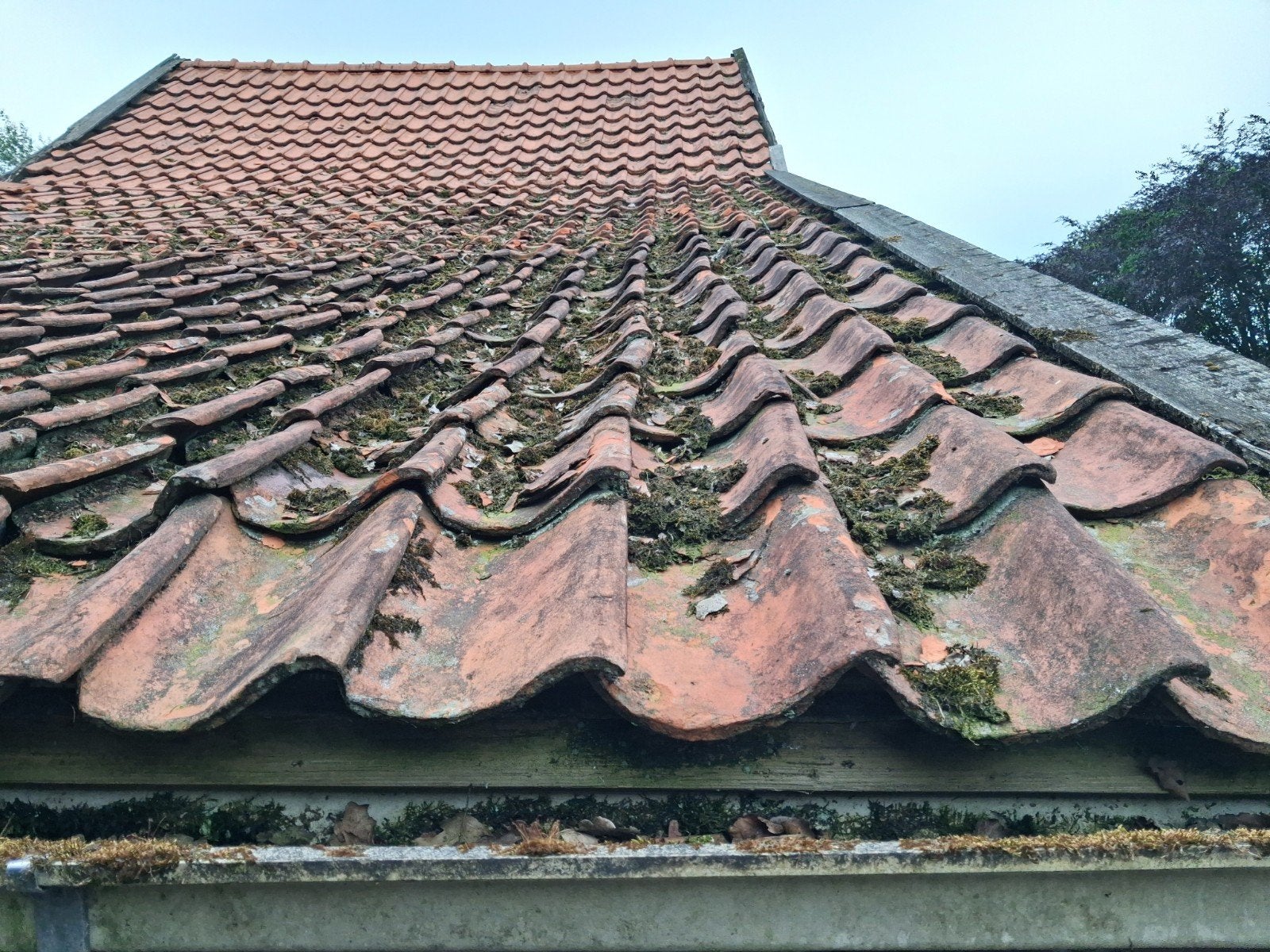 Oud Hollandse dakpan - Authentieke terracotta dakbedekking, Doe-het-zelf en Verbouw, Ophalen, Gebruikt, Steen of Klei, 15 m² of meer