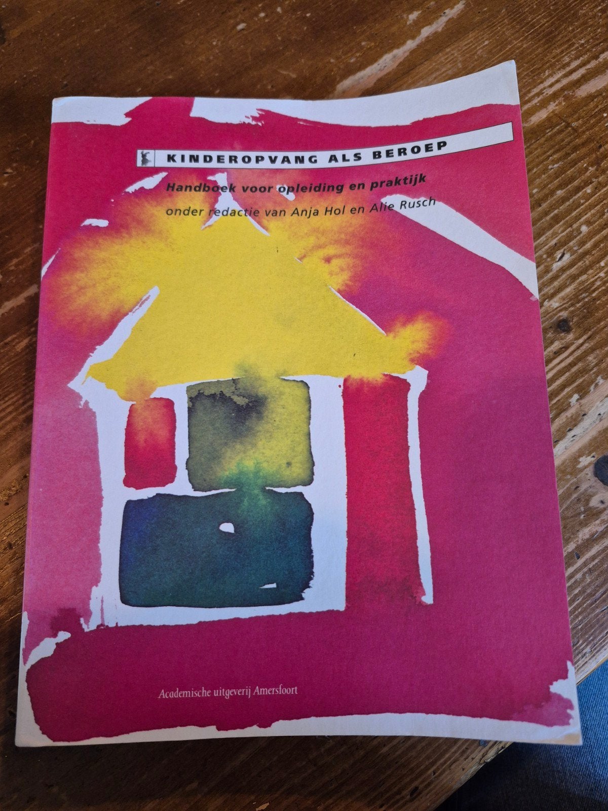 Kinderopvang als beroep, Boeken, Verzenden, Zo goed als nieuw, Sociale wetenschap