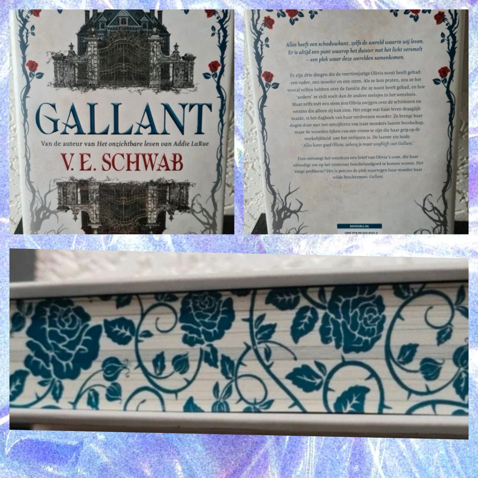 Gallant - V.E. Schwab (Zo goed als nieuw), Boeken, Fantasy, Ophalen of Verzenden, Zo goed als nieuw, V.E. Schwab