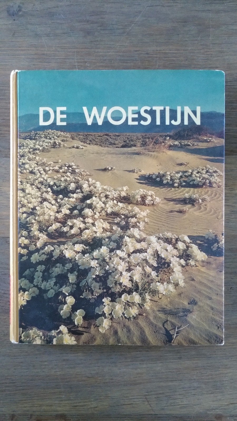 A. Starker Leopold - De Woestijn, Boeken, Gelezen, A. Starker Leopold, Ophalen of Verzenden, Natuur algemeen