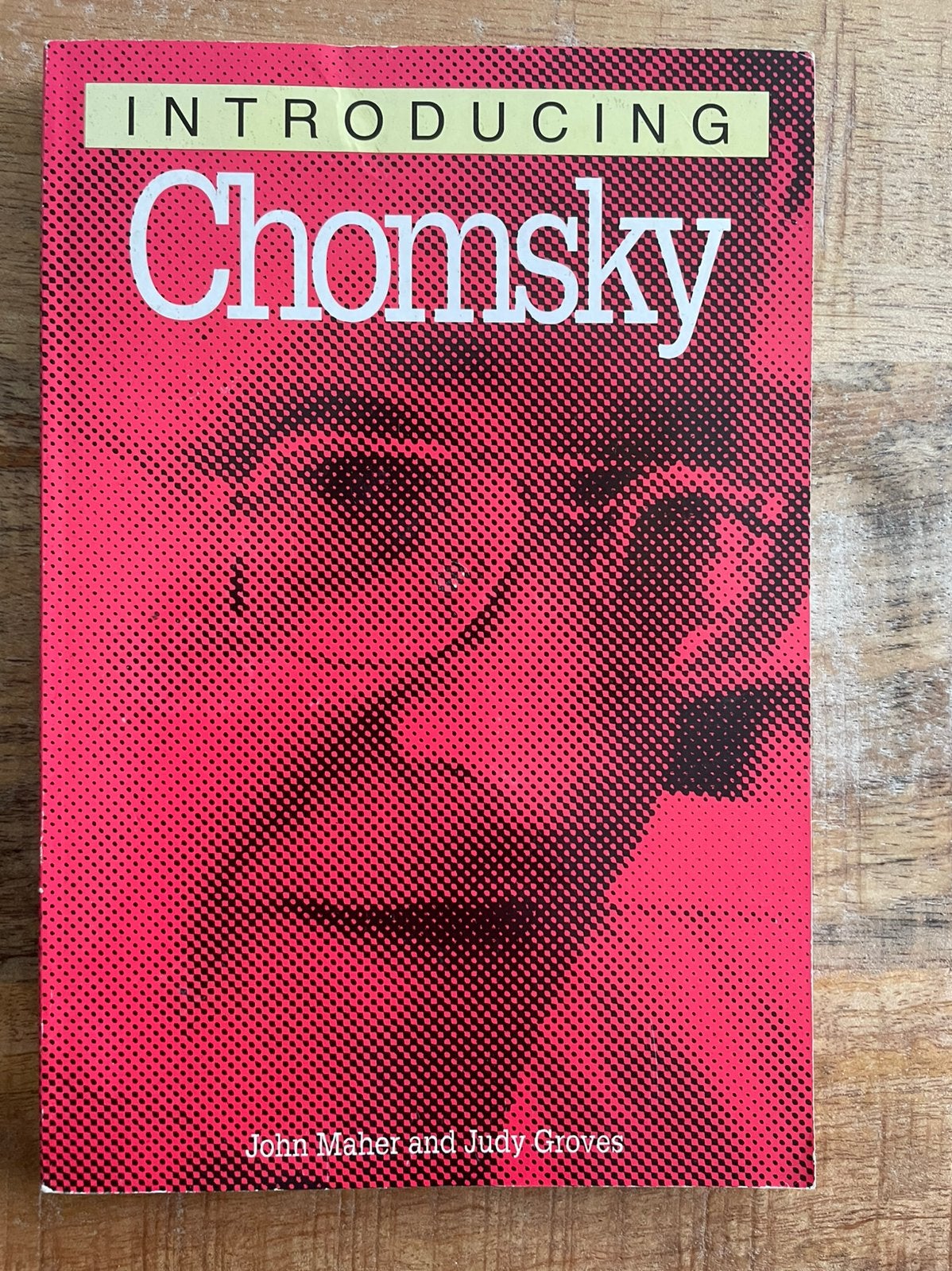 Twee boeken van Noam Chomsky, Boeken, Ophalen of Verzenden, Zo goed als nieuw
