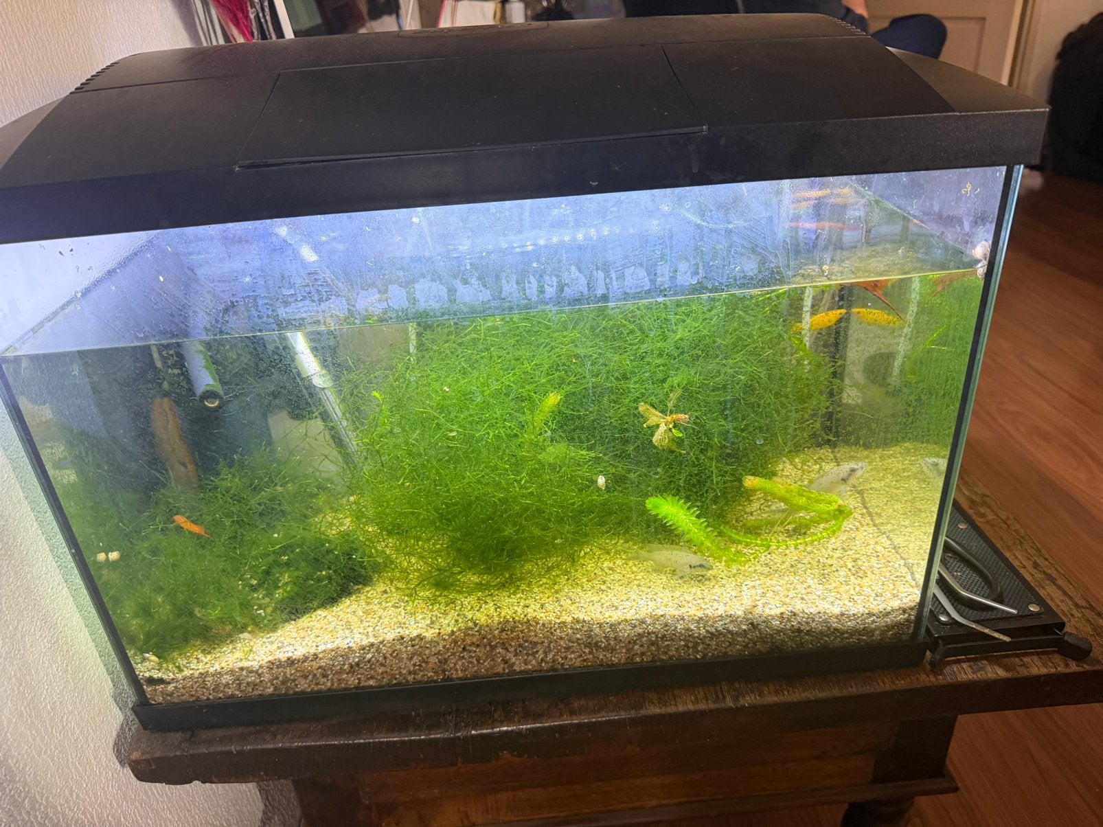 Aquarium van 70 liter, Ophalen of Verzenden, Zo goed als nieuw, Leeg aquarium