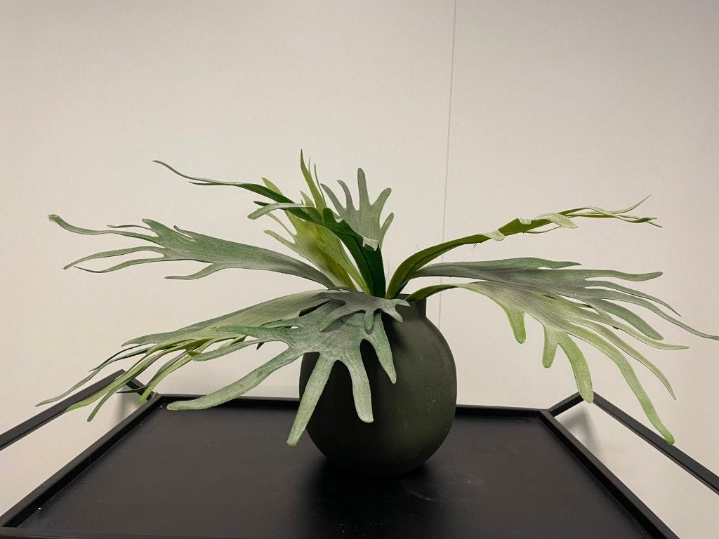 kunstplanten, Groen, 35 cm, Kunstplant, Overige materialen