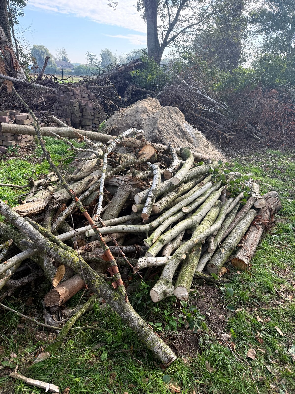 Gratis Brandhout Afhalen - Diverse Houtsoorten, 3 tot 6 m³, Ophalen, Berkenhout, Takken