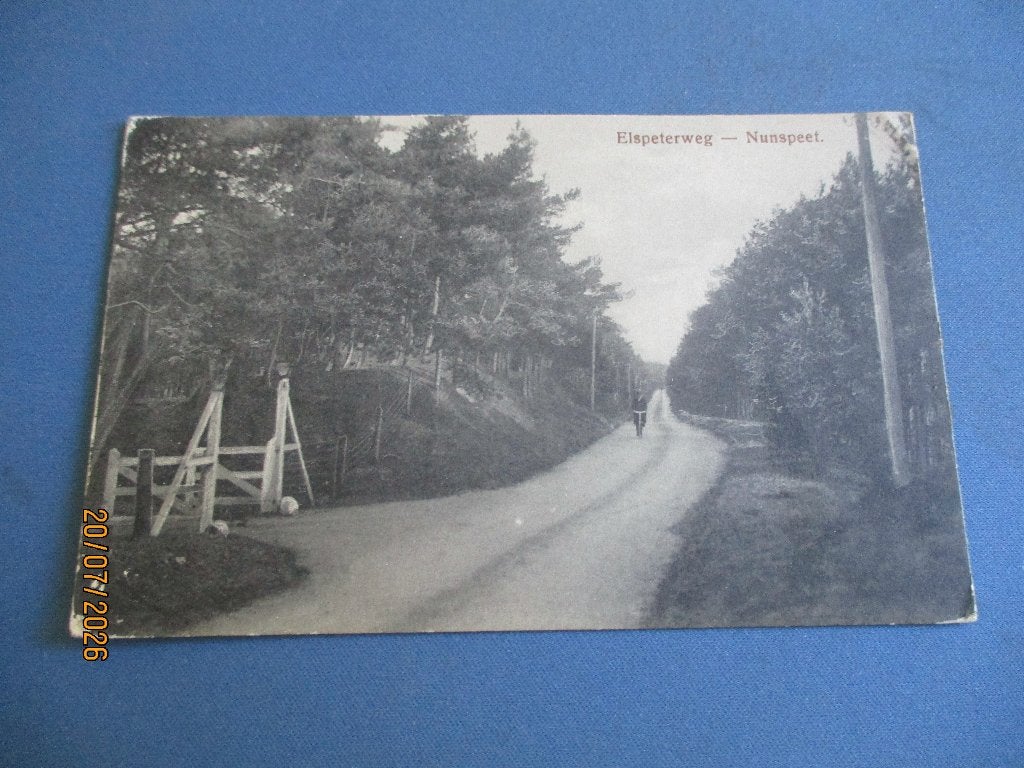 Nunspeet, Ophalen of Verzenden, Voor 1920, Ongelopen, Gelderland