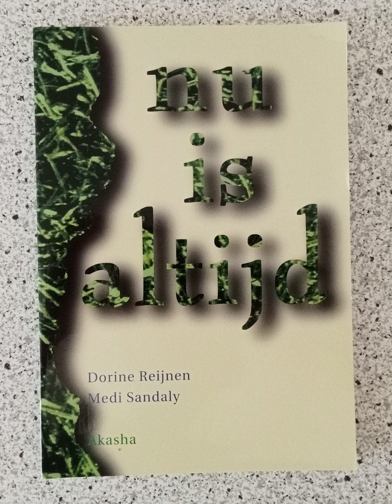 Reijnen, Dorine - Nu is altijd, Gelezen, Verzenden, Overige typen, Overige onderwerpen