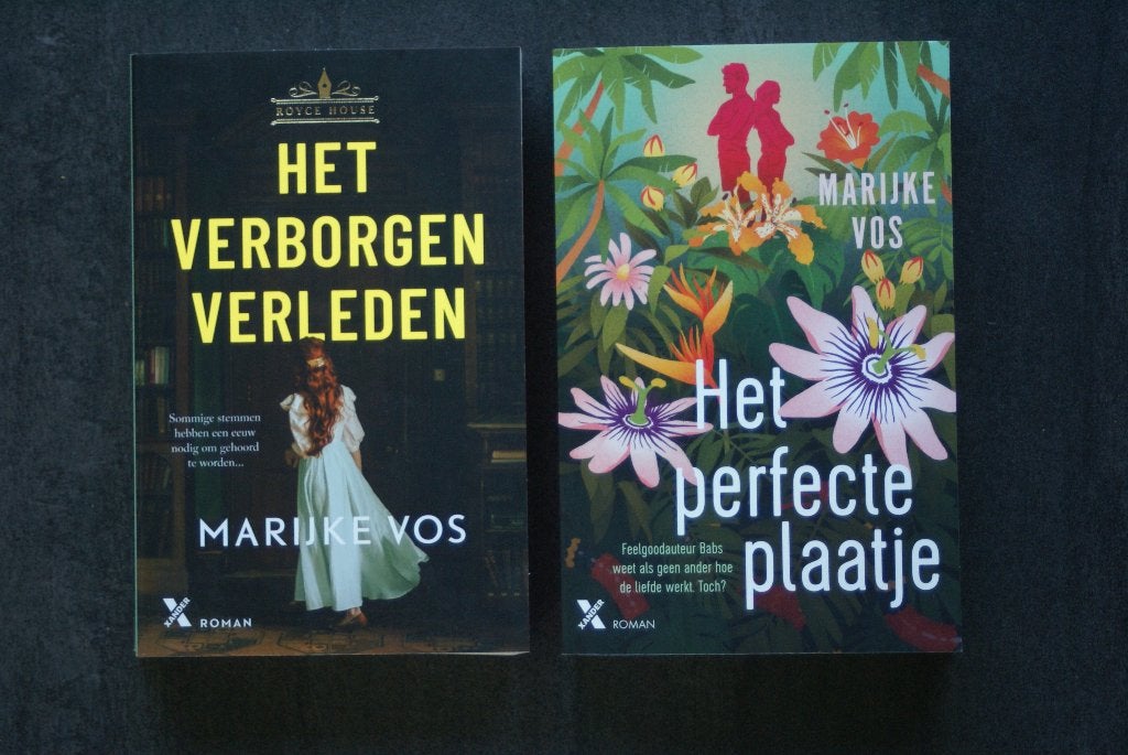 HET VERBORGEN VERLEDEN 2026/HET PERFECTE PLAATJE.. Marijke V, Ophalen of Verzenden, Zo goed als nieuw, Marijke Vos