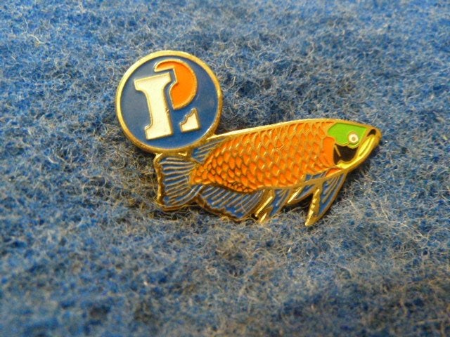 Pin Vis, Verzamelen, Speldjes, Pins en Buttons, Ophalen of Verzenden, Overige onderwerpen