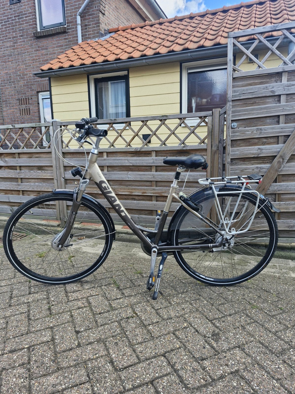 Giant damesfiets met 7 versnellingen, Ophalen
