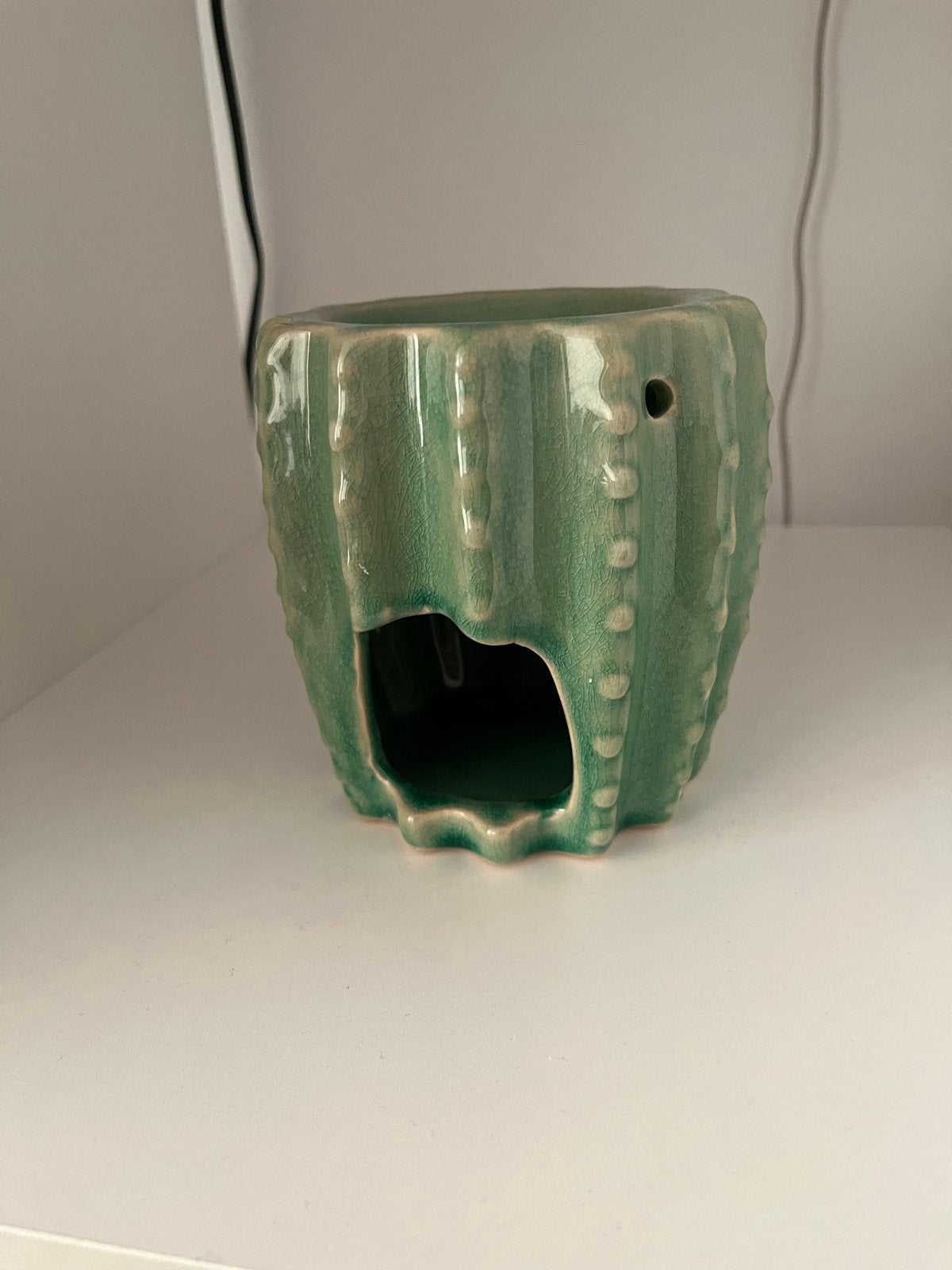 Cactus Wax Brander - Groen Keramiek, Ophalen, Groen, Zo goed als nieuw, Modern