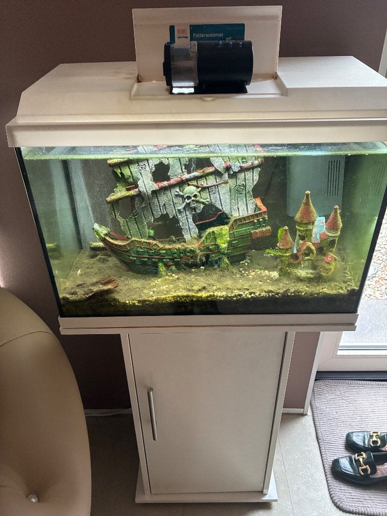 Aqarium compleet, Ophalen, Inclusief toebehoren, Zo goed als nieuw, Leeg aquarium