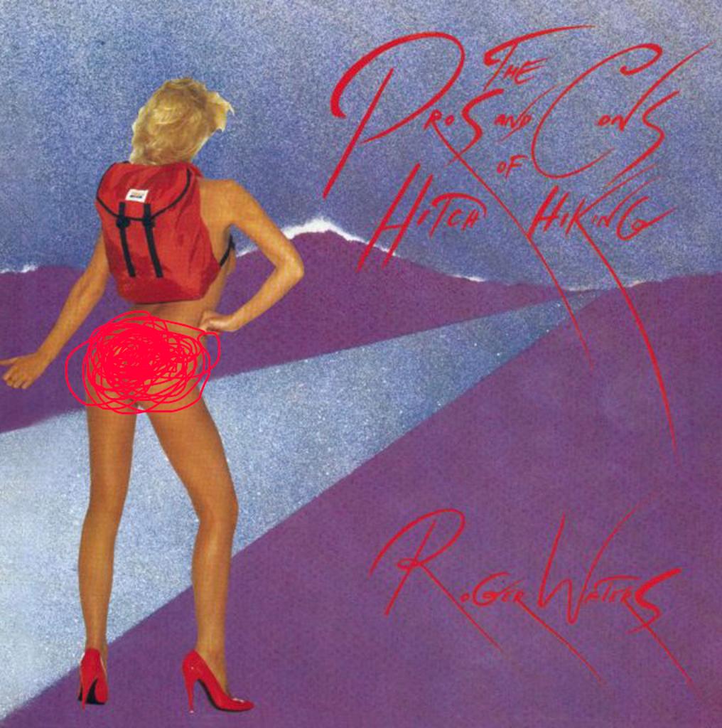 CD Roger Waters - Hitch Hiking, Verzenden, Zo goed als nieuw, Poprock