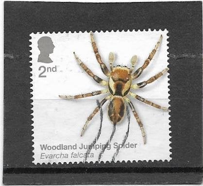 Engeland 2024 Spiders - Woodland Jumping Spider, Verzenden, Gestempeld