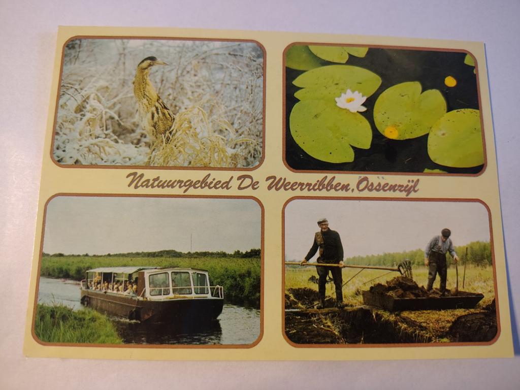 Ossenzijl, Ophalen of Verzenden, 1940 tot 1960, Gelderland