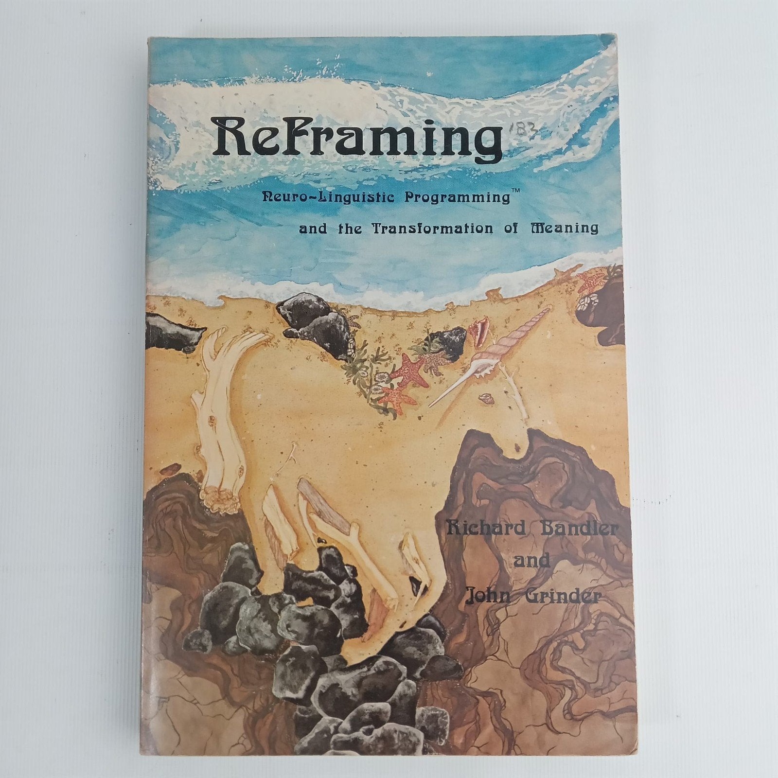 ReFraming: Neuro-Linguistic Programming - Bandler & Grinder