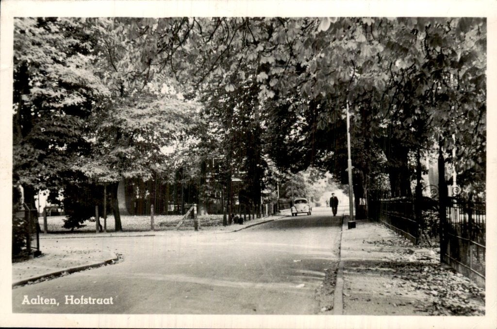 Aalten - Hofstraat - Straat met bomen, Ophalen of Verzenden, 1940 tot 1960, Gelopen, Gelderland