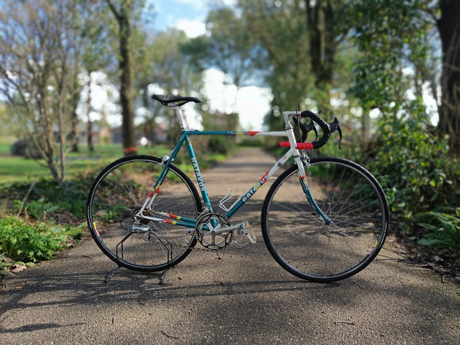 Batavus Competition 56cm - volledig opgeknapt!, Ophalen, 28 inch, Staal, Velgrem