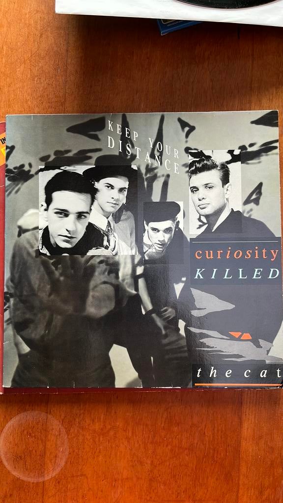 Curiosity killed the cat, Ophalen of Verzenden, Zo goed als nieuw, 12 inch