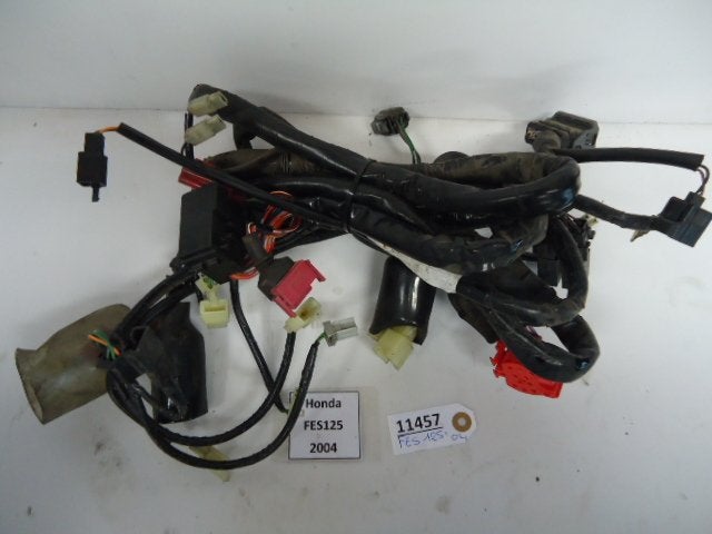 FES125 Pantheon 1997 - 2006 Honda Kabelboom D1-16763