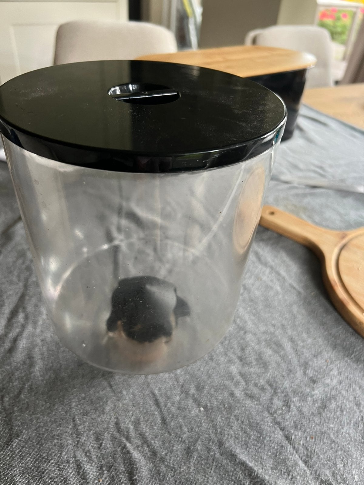 Eureka koffie- hopper reservoir., Witgoed en Apparatuur, Ophalen of Verzenden, Zo goed als nieuw, Koffiemachine