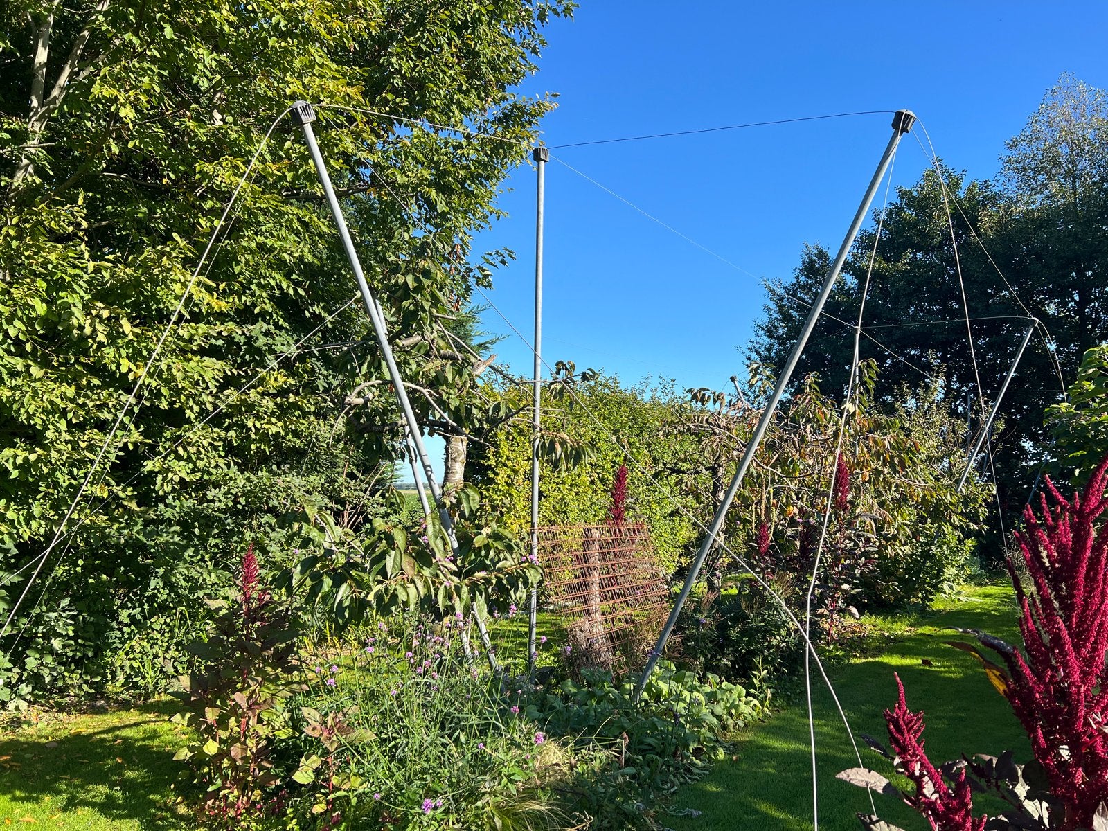 Robuuste vogelnetconstructie voor fruitbomen, gegalvaniseerd, Tuin en Terras, Ophalen of Verzenden
