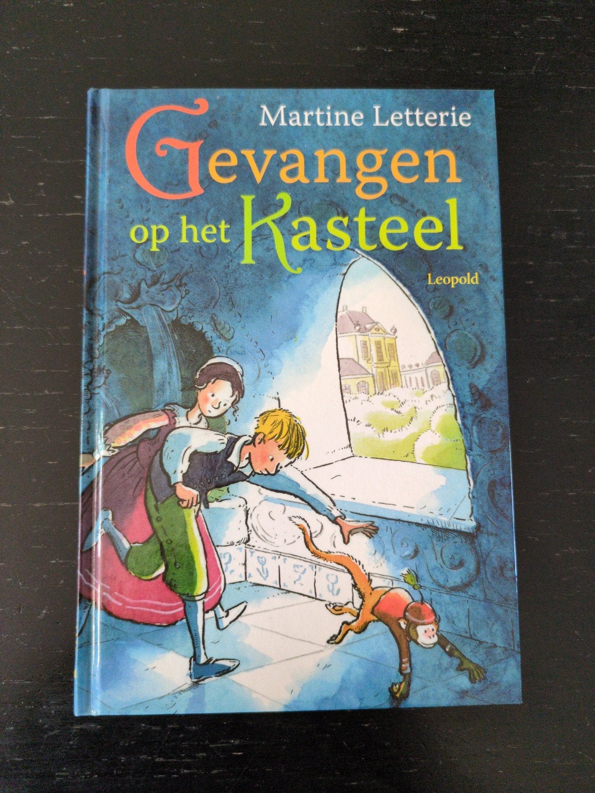 Gevangen op het kasteel, Ophalen of Verzenden, Zo goed als nieuw, Martine Letterie