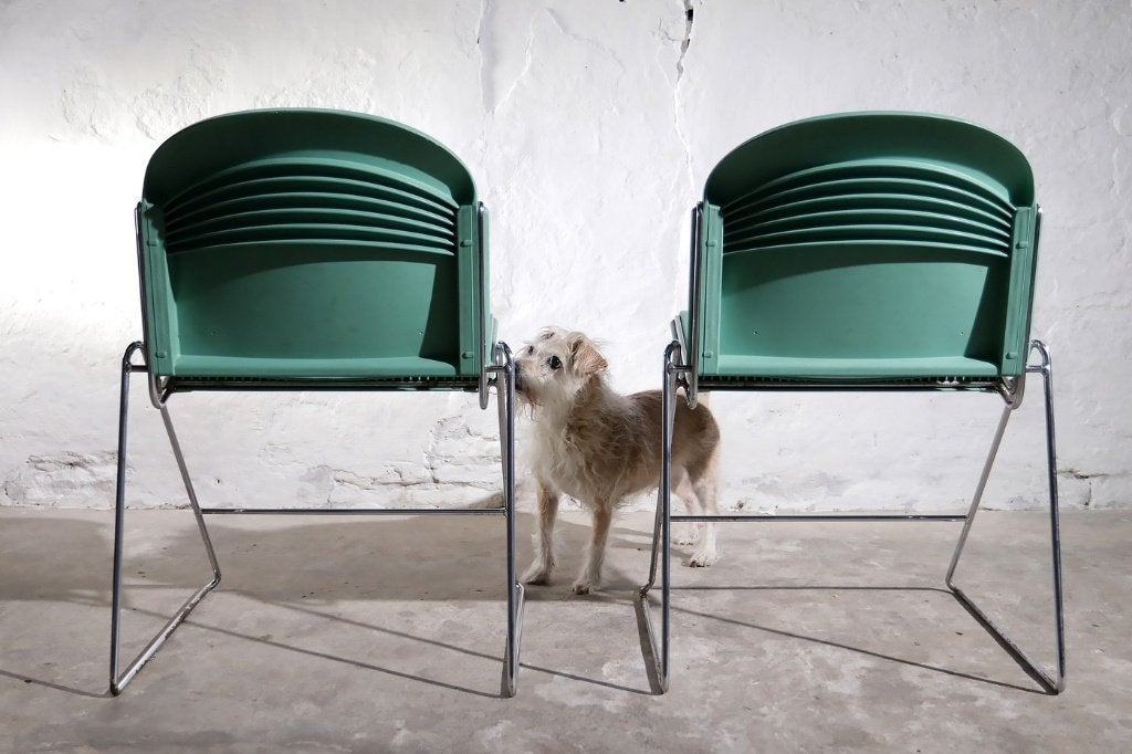 Jimmy Car Katwijk stoelen mintgroen/chroom 1992, Ophalen, Overige kleuren, Vintage, Jaren 90, Industrieel, Vijf, Zes of meer stoelen