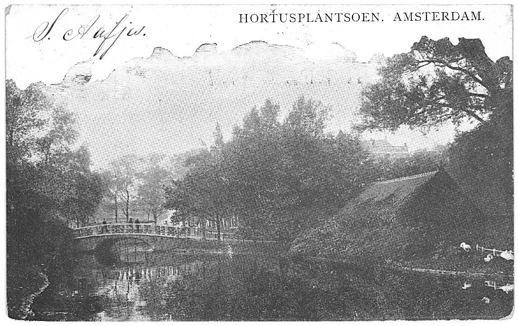 700341 Amsterdam Hortusplantsoen Begin vorige eeuw Gelopen, Ophalen of Verzenden, Voor 1920, Gelopen, Noord-Holland
