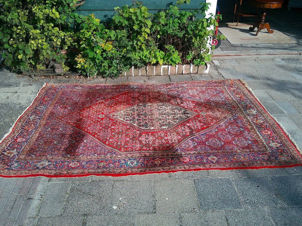 vloerkleed - tapijt - wollen kleed, Ophalen, 150 tot 200 cm, 200 cm of meer, Rechthoekig