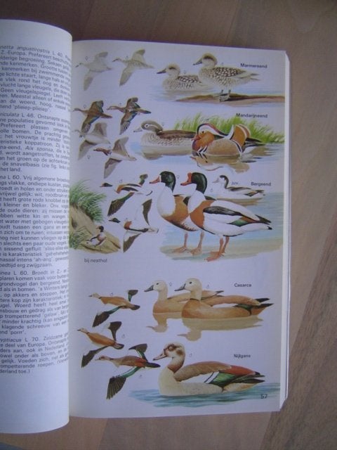Vogelgids, Boeken, Verzenden, Zo goed als nieuw, Vogels