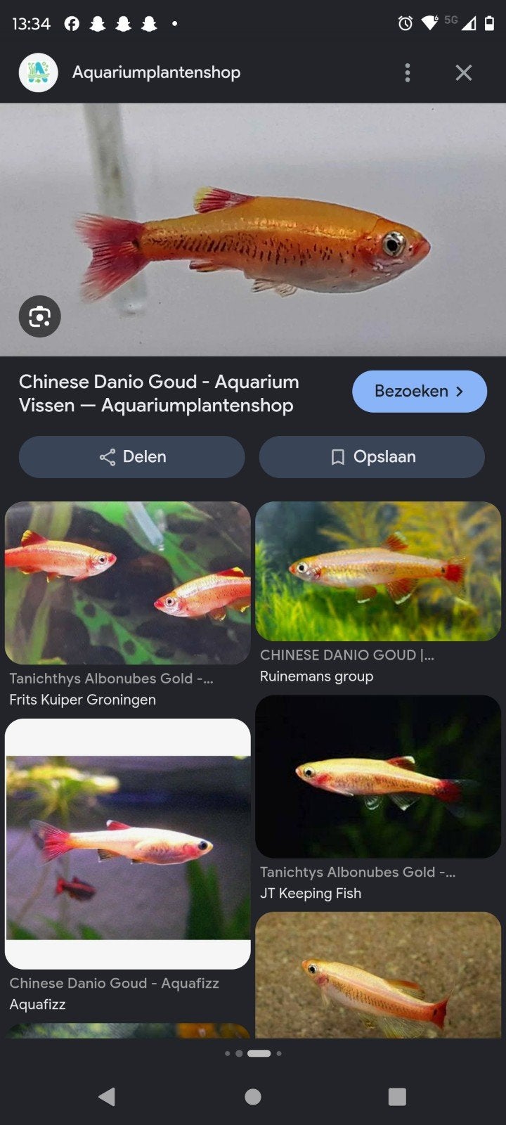 ik heb 2 goude danio s die weg moeten voor maar 5euro