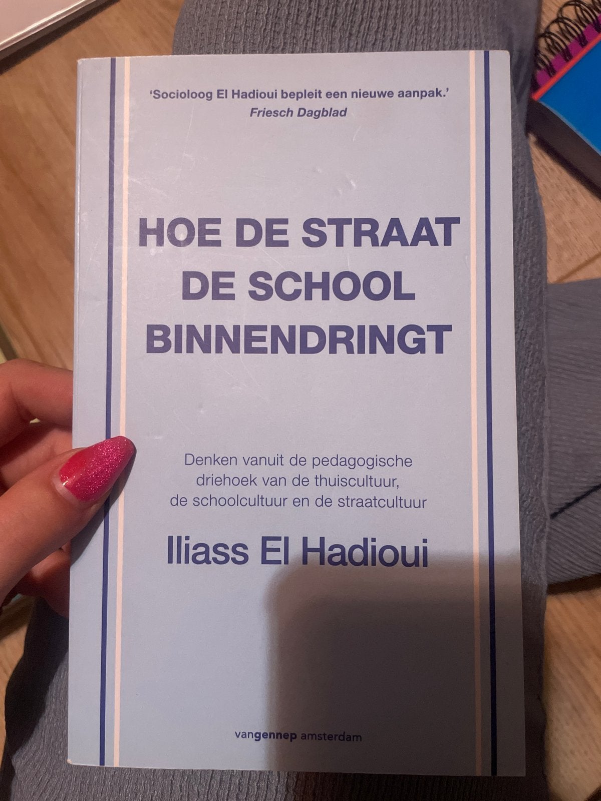 Hoe de Straat de School Binnendringt - Iliass El Hadioui, Boeken, Ophalen of Verzenden, Gamma, Gelezen, HBO