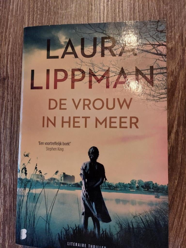 Thrillers van Laura Lippman, Boeken, Ophalen of Verzenden, Zo goed als nieuw, Laura Lippman