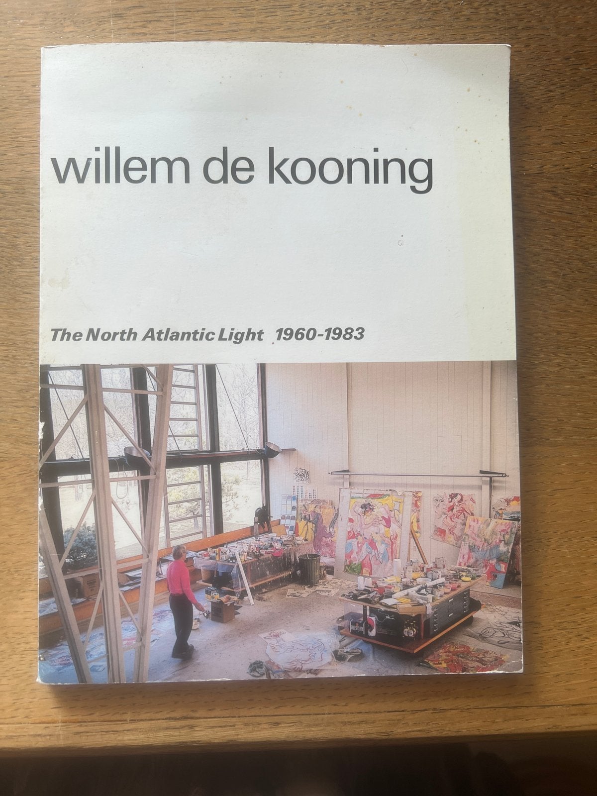 Willem de Kooning: The North Atlantic Light 1960-1983, Ophalen of Verzenden, Gelezen, Schilder- en Tekenkunst