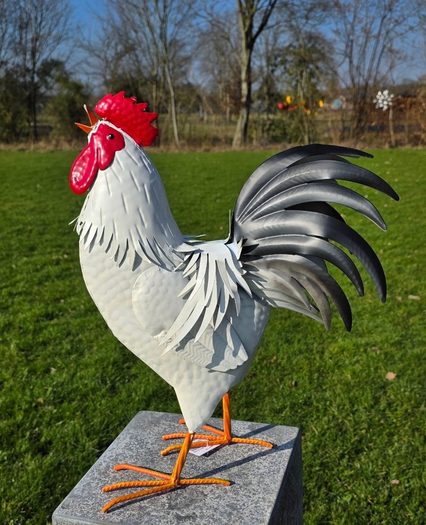 Haan /Hen / metaal / kippen / NIEUW, Tuin en Terras, Dierenbeeld, Nieuw, Metaal, Info@huisentuindecoratiemarie.nl