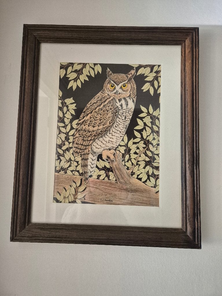 Schilderij uil, Ophalen, Dieren