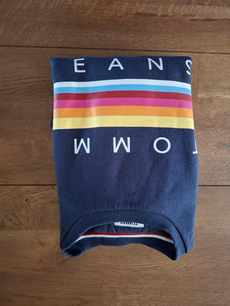 Leuke Tommy Sweater., Ophalen of Verzenden, Zo goed als nieuw, Blauw