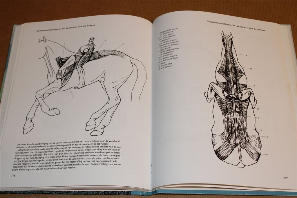 Het Paard in Beweging — Beter Rijden door Anatomie Kennis, Boeken, Ophalen of Verzenden, Zo goed als nieuw, Paarden of Pony's