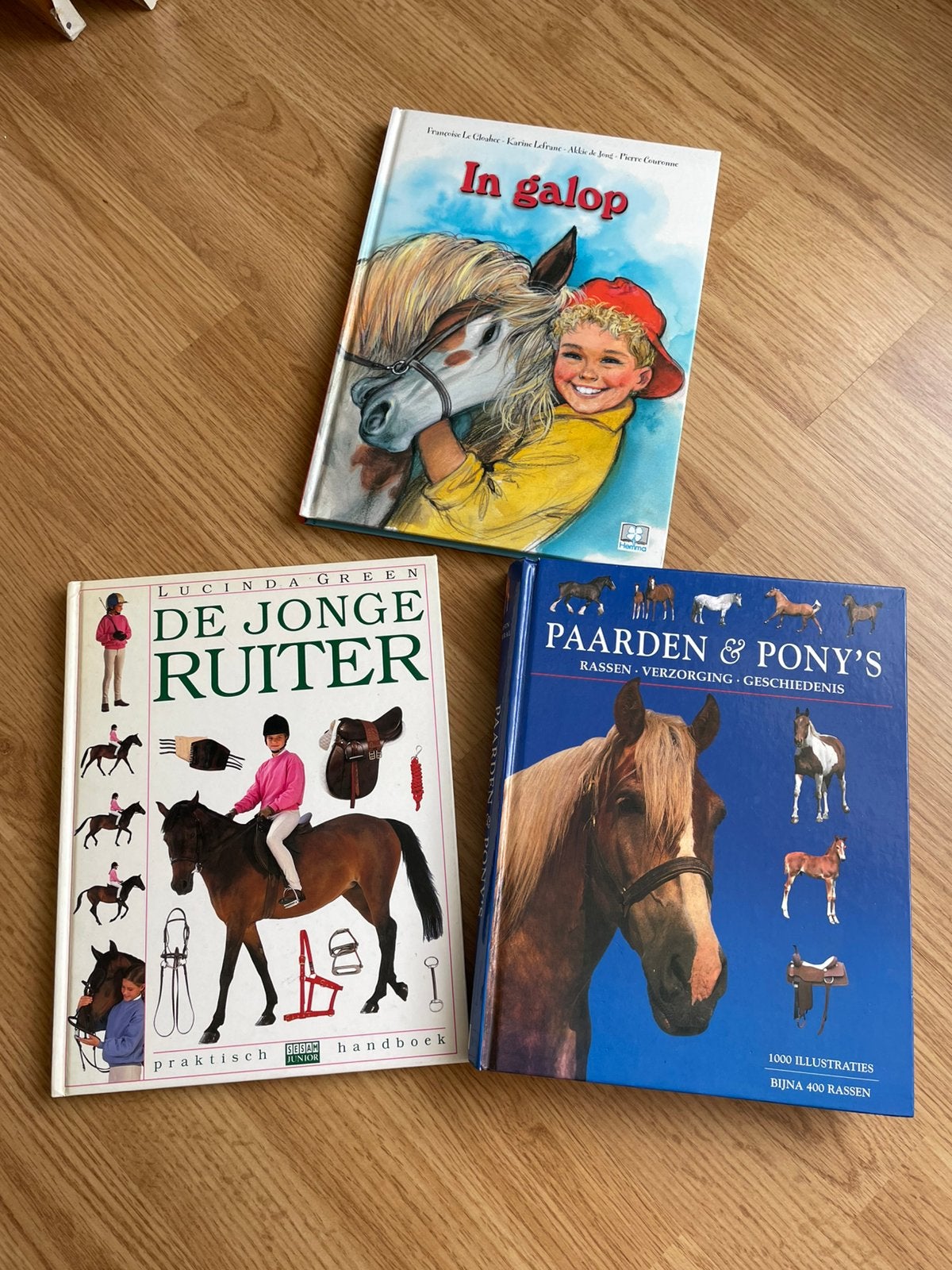 Paardenboeken (3, als set), Boeken, Dieren en Huisdieren, Ophalen of Verzenden, Gelezen, Paarden of Pony's