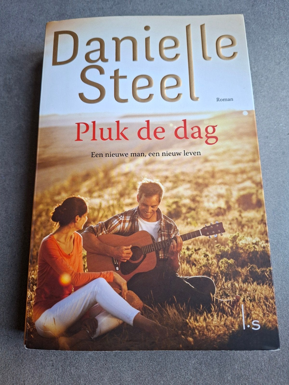 Daniëlle Steel: Pluk de dag/ Een nieuwe man een nieuw leven., Ophalen of Verzenden, Gelezen