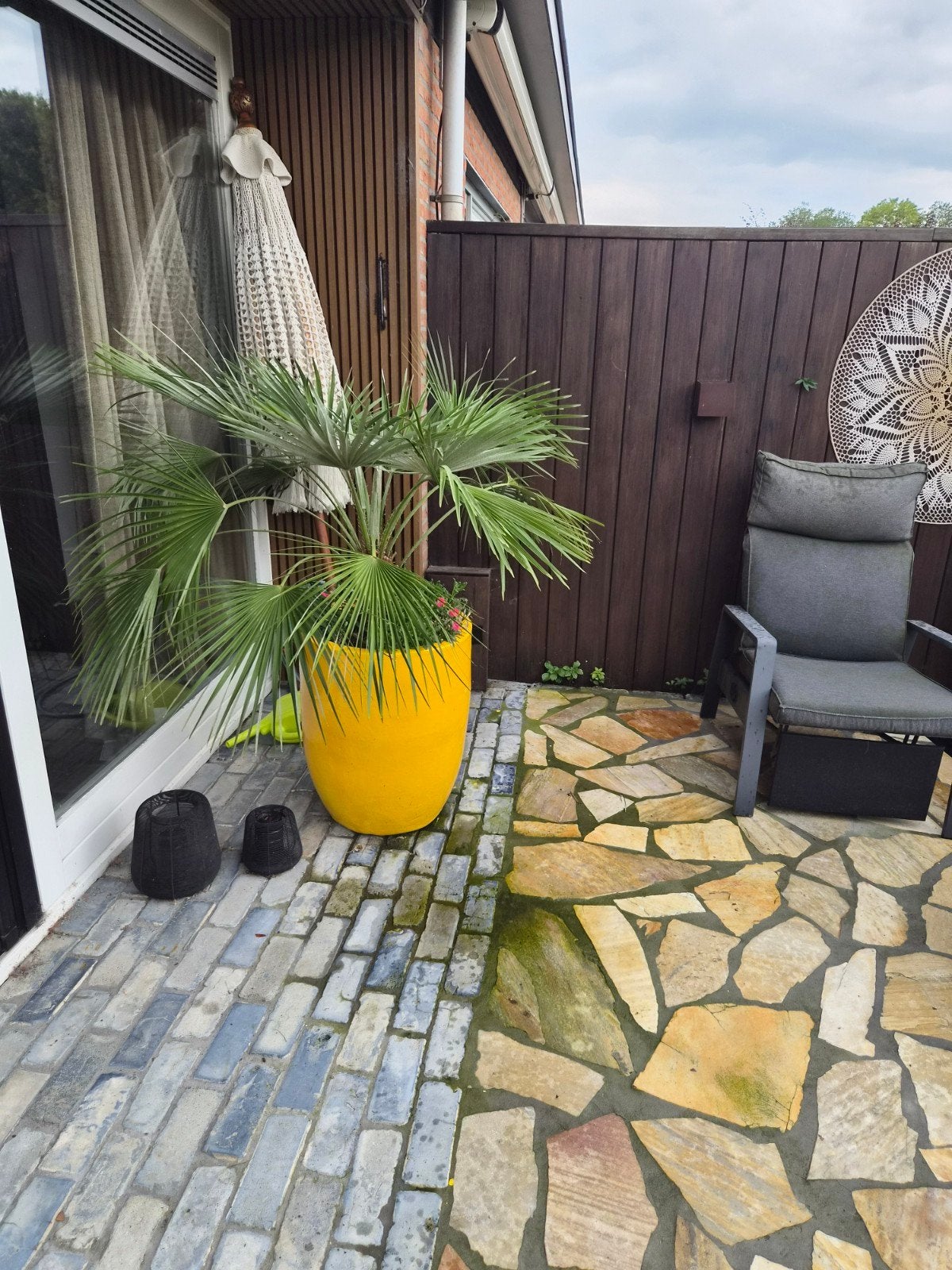 Palmboom in grote gele bloempot, Tuin en Terras, Steen, Gebruikt, Minder dan 60 cm, Rond