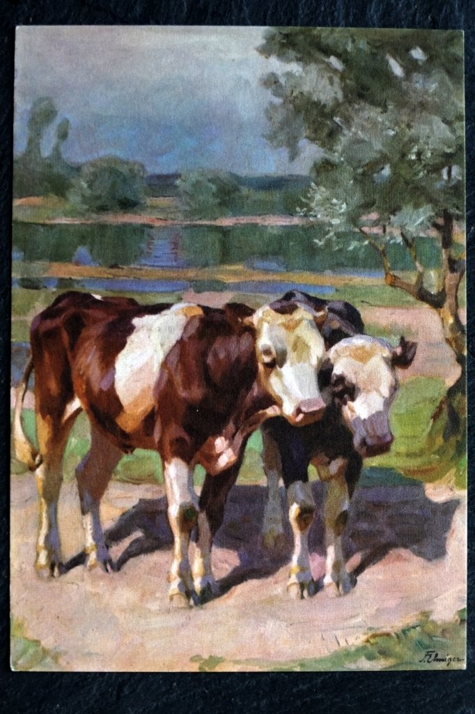 Koeien op pad, door F. Elmiger, Verzamelen, Verzenden, 1960 tot 1980, Ongelopen, Overige soorten