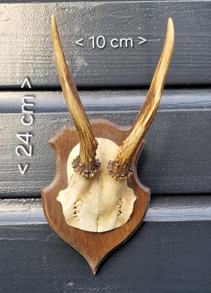 Reeëngewei op schild - Vintage decoratie, Ophalen of Verzenden, Gebruikt