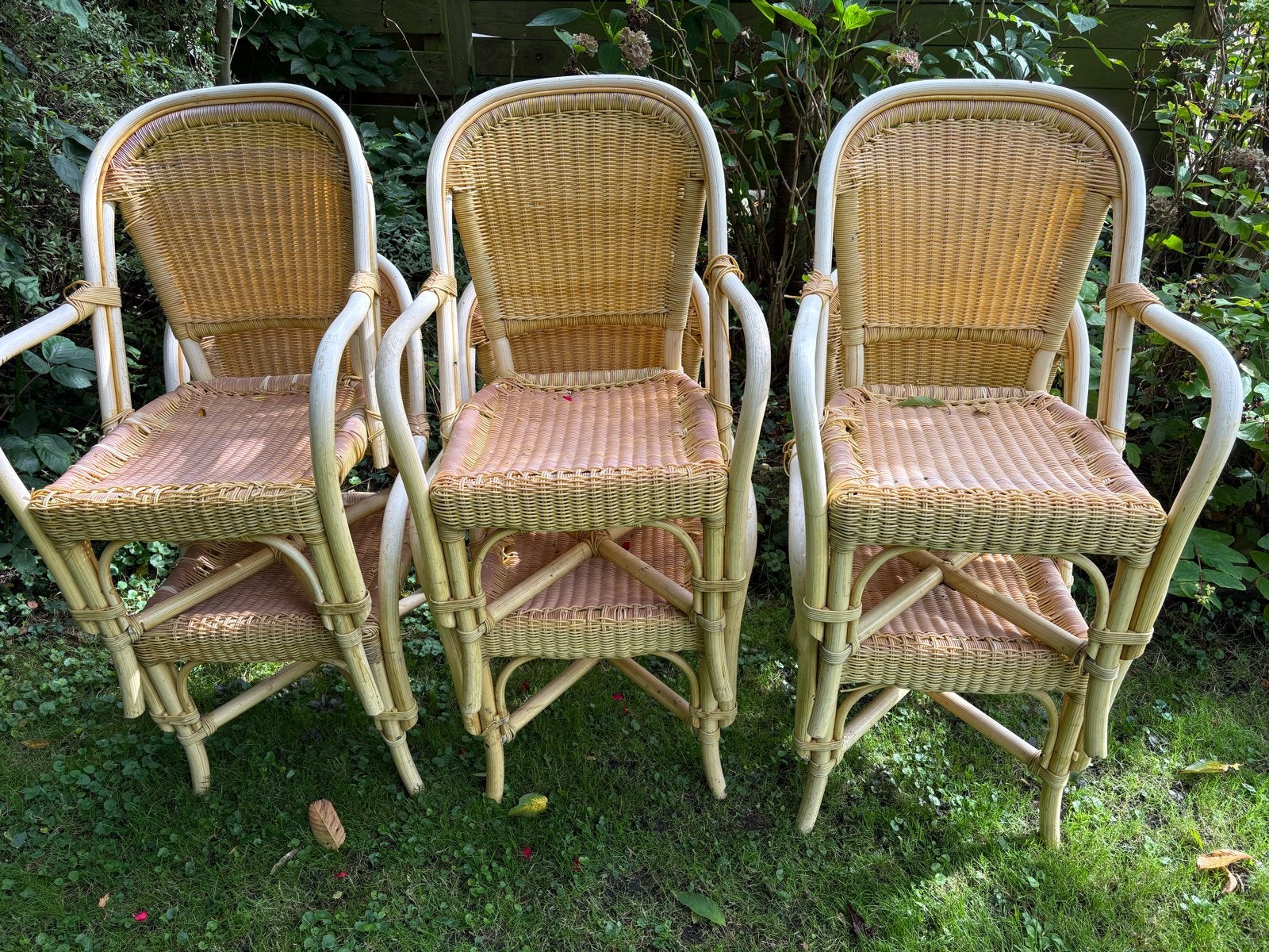 6 Rotan Terrasstoelen, Ophalen of Verzenden, Gebruikt, Rotan