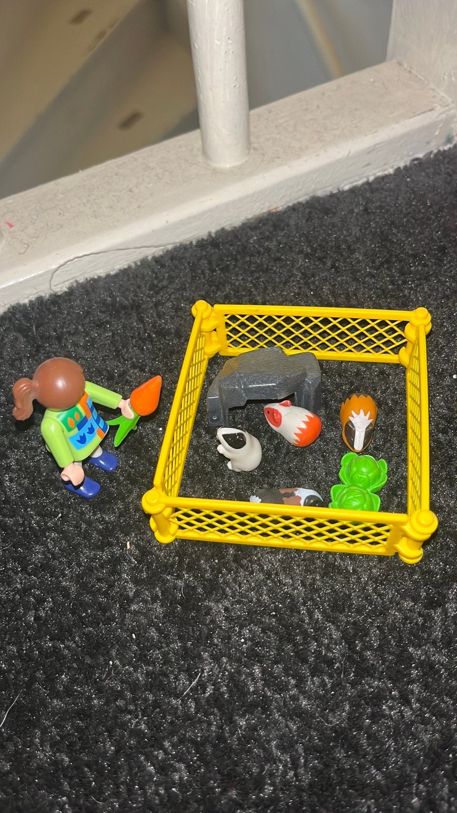 Playmobil caviaverblijf met figuur en accessoires, Ophalen, Zo goed als nieuw, Jongen of Meisje