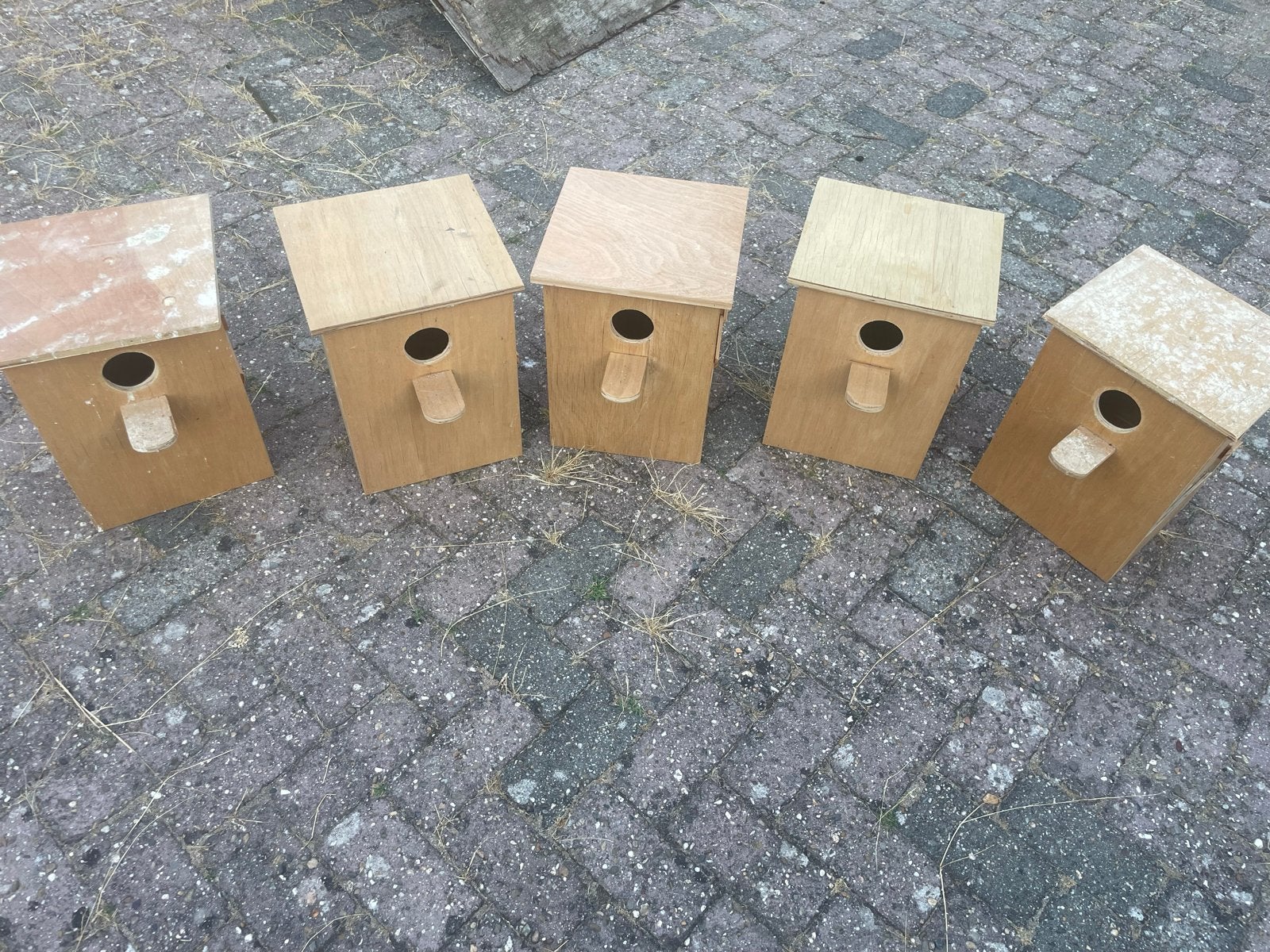 Broedkooien, Ophalen, Hout, Broedkooi of Kweekkooi