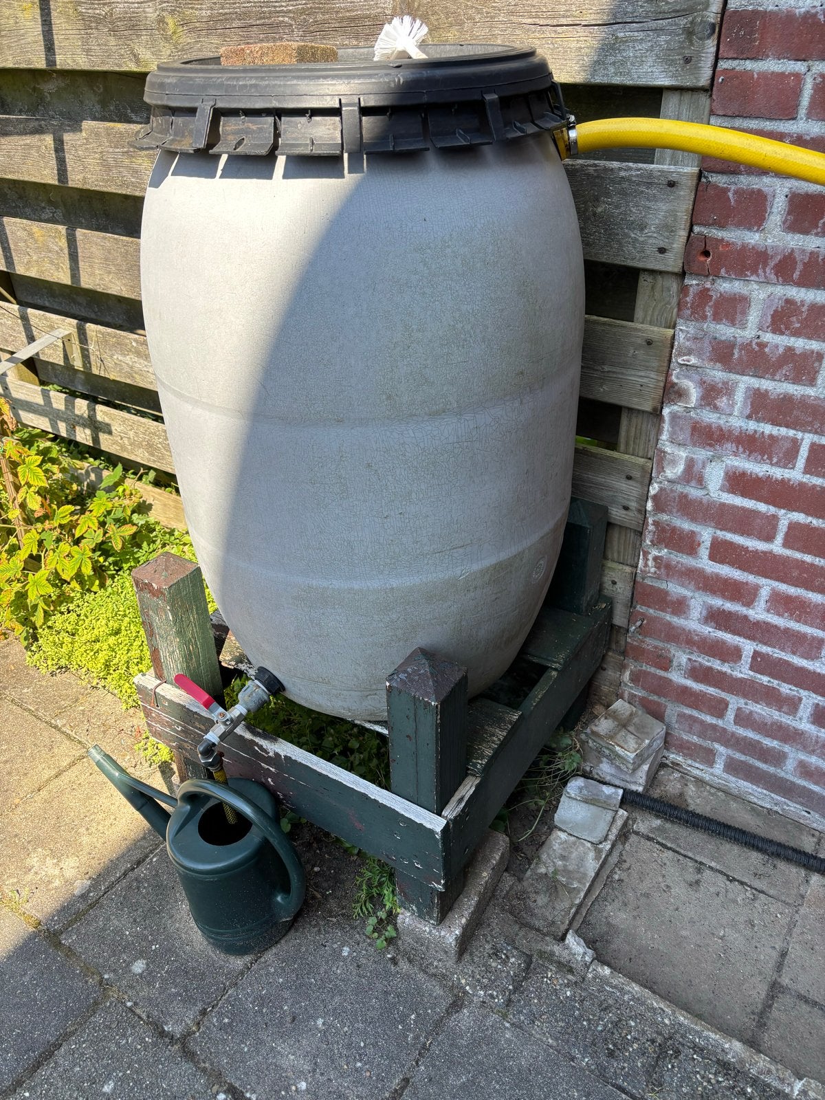 Regenton met overloop naar rioolnet, Tuin en Terras, Regentonnen, Gebruikt, Kunststof, 150 liter of meer, Met kraantje, Ophalen