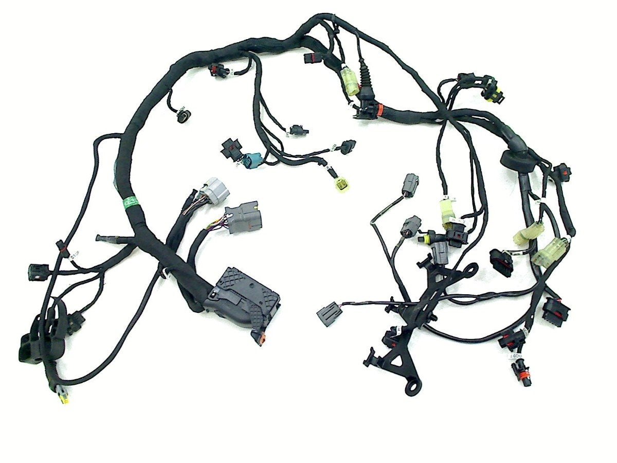 Kabelboom Motor Ducati Multistrada 1200 V4 Rally 2021-2025, Cama Motorparts, Gebruikt, Info@cama-motorparts.nl, P.J. Troelstraweg 8, MAASSLUIS 3144 CX, Zuid Holland, , Nederland