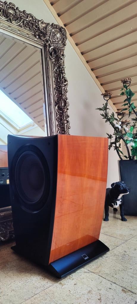 Dali Helicon S600 - Subwoofer 2x 12" Rosenut Cherry Wood., Ophalen of Verzenden, Zo goed als nieuw, Subwoofer, Overige merken