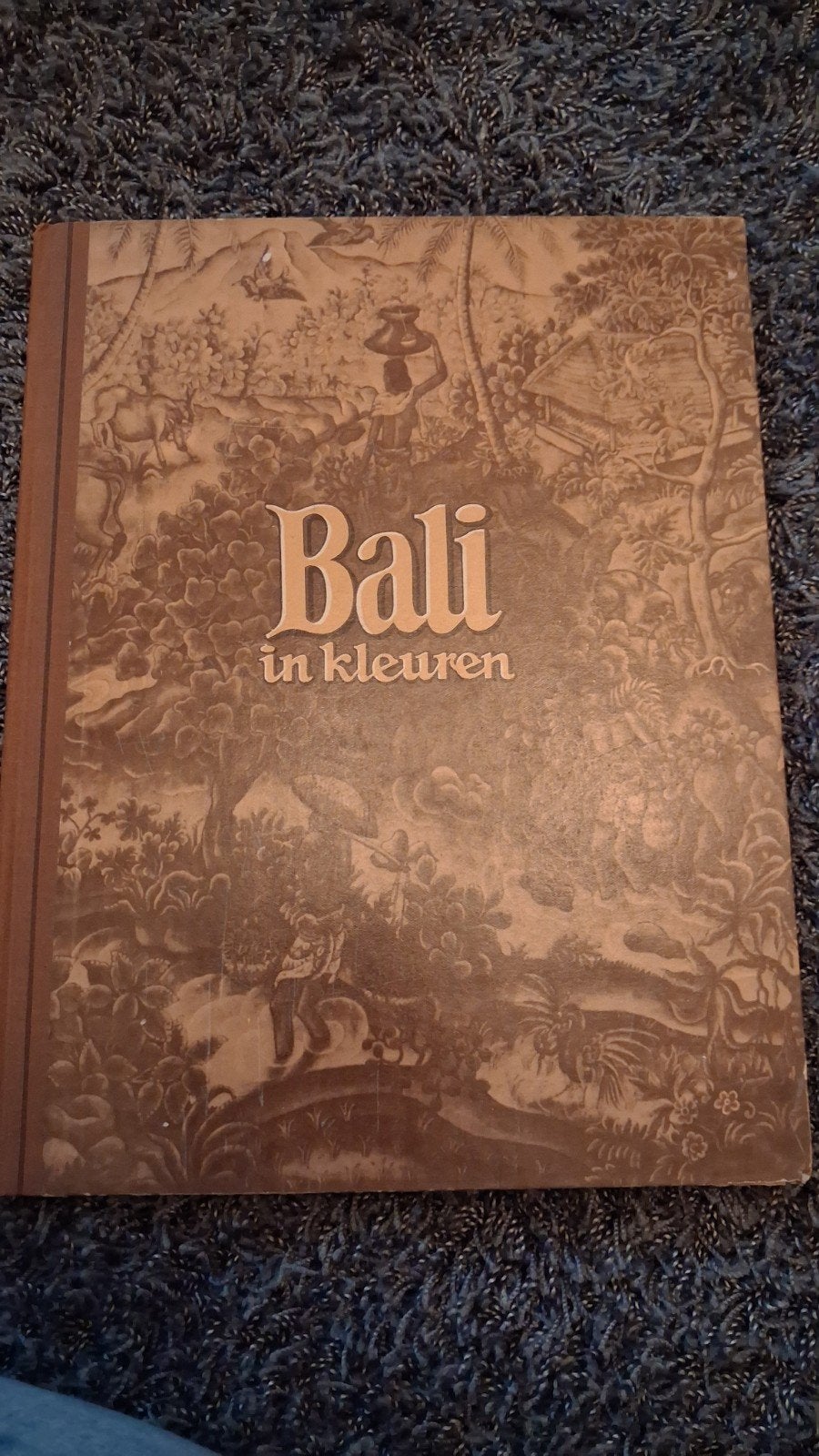 Bali in kleuren - Douwe Egberts (1950s), Piet Bakker, Reisgids of -boek, Azië, Ophalen